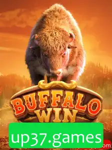 Explorando o Universo de BuffaloWin: Uma Nova Atração em up37.games